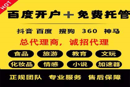SEM优化策略：案例解读成功之道